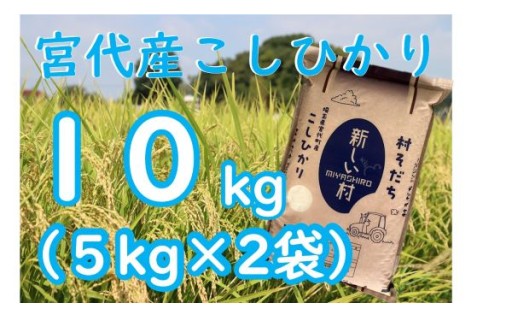 新価格【令和7年産】宮代産コシヒカリ村そだち　