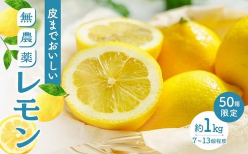 【月間50箱限定】皮まで美味しい無農薬レモン 約1kg