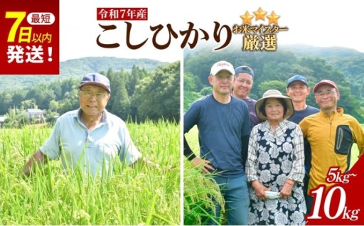 【おすすめ返礼品】お米マイスター厳選！＜令和7年産＞こしひかり