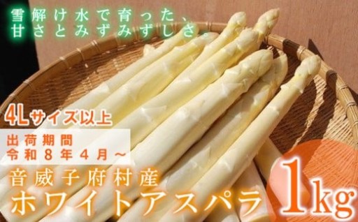 【先行予約】ホワイトアスパラガス 4L以上