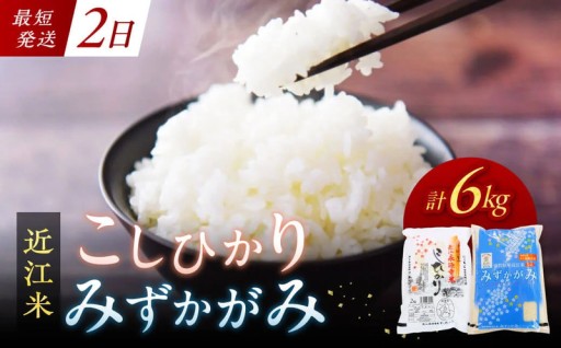 毎日のご飯が楽しみに変わる 近江 永源寺米 食べ比べセット 合計 6kg