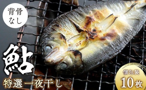 骨なしでガブリ！琵琶湖生まれの肉厚鮎一夜干し10枚