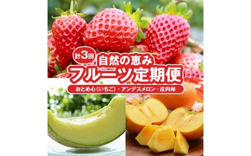 自然の恵みフルーツ定期便🎁「いちご・アンデスメロン・庄内柿」