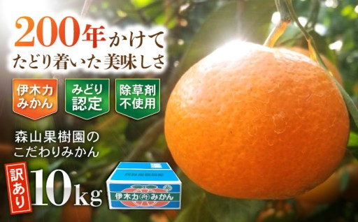 伊木力産のこだわりみかん