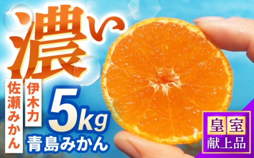 濃厚な味わい、伊木力佐瀬みかん5kgのご紹介