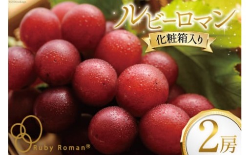 宝石のように輝く大粒ぶどう