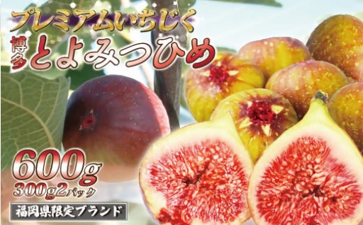 2026年福岡県産とよみつひめ　約300g×2P