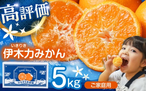 1週間以内に発送〈チョイス限定〉「家庭で楽しむ！伊木力みかん 5kg」