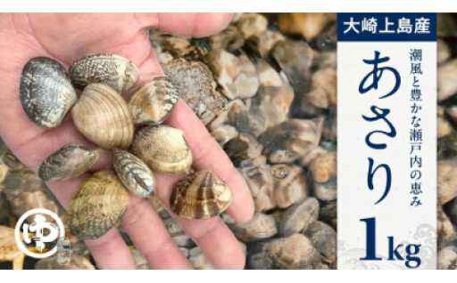 瀬戸内の海ですくすく育った海の幸「アサリ」