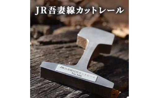 JR吾妻線カットレール