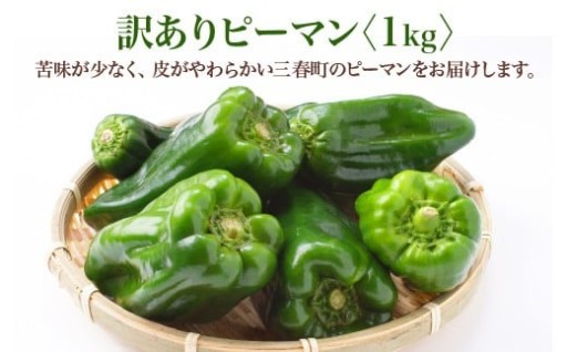 【先行予約】訳ありピーマン 1kg