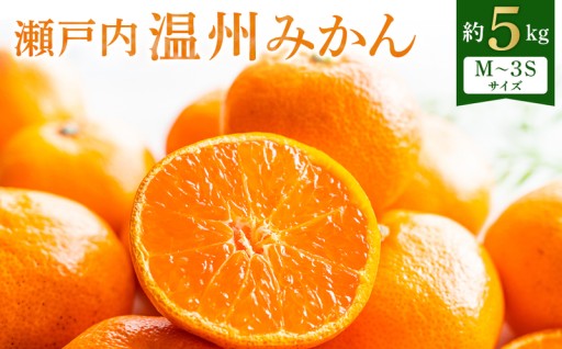 【先行予約】瀬戸内温州みかん　小粒サイズ　約5kg