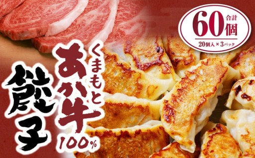 くまもと あか牛100％ 餃子 合計60個 20個入り×3パック