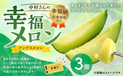 中村さんの幸福メロン（アンデスメロン） 3個