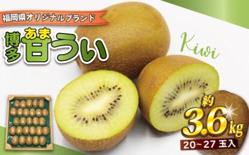 ブランドキウイフルーツ「博多甘うぃ」約3.6kg