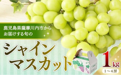 【先行予約】【数量限定】鹿児島県産シャインマスカット 1kg （1～4房）