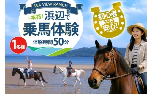 初心者でも安心!平戸の浜辺で本格乗馬体験