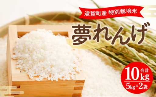 【令和7年産】 特別栽培米 夢れんげ 10kg （5kg×2袋）
