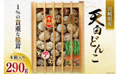 椎茸の中でも1％も採れない貴重な「天白どんこ」