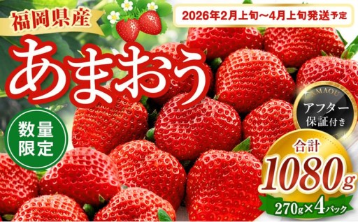 数量限定 福岡県産 あまおう 270g×4パック