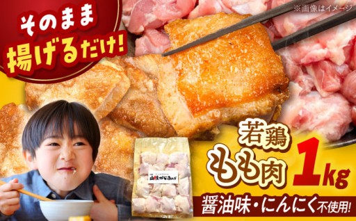 【人気 からあげ専門店の味！】山賊からあげ