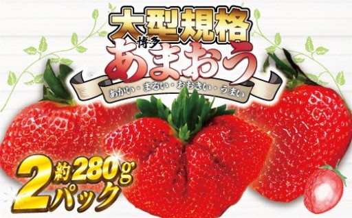 ★大玉規格★博多あまおう2パック　約560g