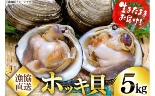 【期間限定発送】百石町漁業協同組合直送！