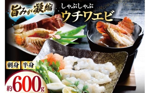 平戸を代表する特産品、ぷりっぷりのウチワエビ！