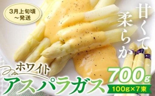 【3月中旬頃～発送】ホワイトアスパラガス 700g