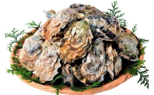平戸の冬限定。ぷりぷり濃厚な生牡蠣。