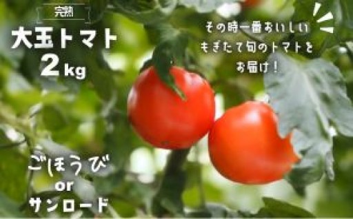 贈答用にも！まるかじりしたくなる完熟大玉トマト 