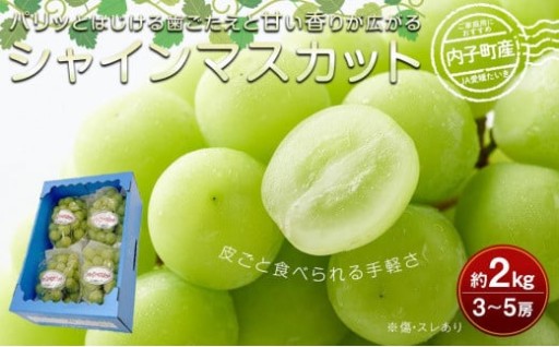 内子町産 シャインマスカット ムジ 3～5房 約2kg ＜2026年8月下旬～発送開始＞