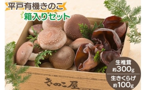 ギフトにも最適！平戸有機きのこ箱入りセット