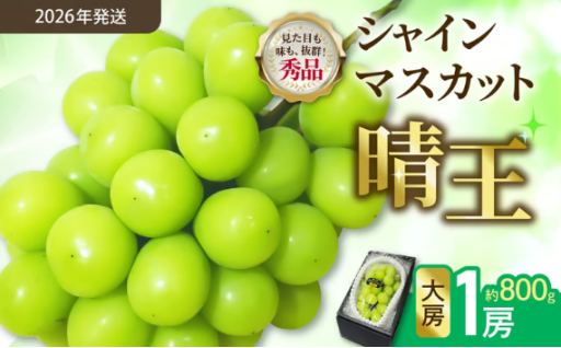 ＼先行受付開始★！／岡山県産 シャインマスカット晴王🍇【秀品】 大房１房【令和8年9月以降発送】