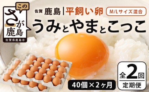 定期便 2回 平飼い卵 たまご 40個 2ヶ月