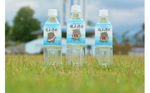 甲斐のうまい水　龍王源水　490ml×24本入
