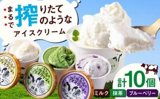 🍨北海道産地直送！素材が活きる贅沢ミルクアイス🍨