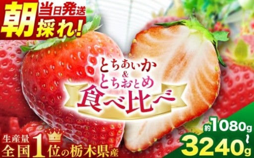 とちあいか＆とちおとめ食べ比べ 選べる内容量