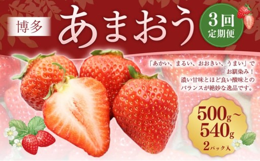 【3回定期便】 博多 あまおう （250g-270g）×2パック