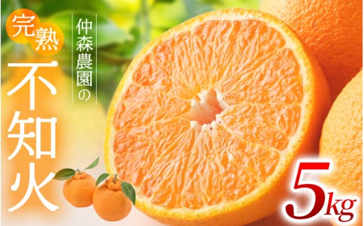 【数量限定】仲森農園の完熟不知火 5kg 【2026年2月～4月頃で順次発送】 【nkmr0003】
