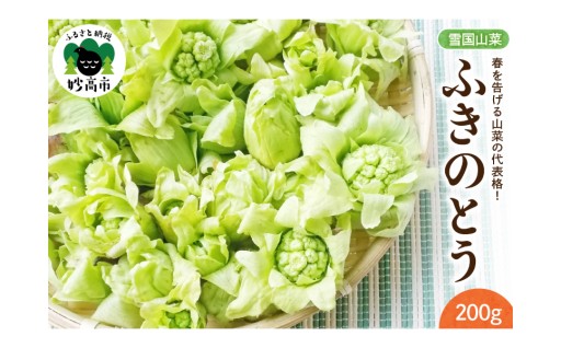 ちょっと早いですが、春の味覚！山菜のご紹介！