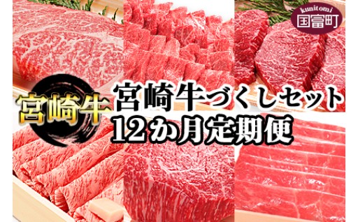 ＜12か月定期便 宮崎牛づくしセット＞