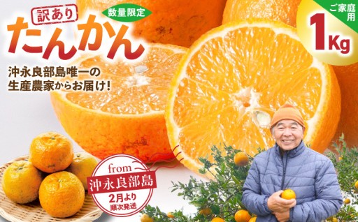 【締め切り間近💥】＜ご家庭用＞訳あり たんかん 1kg🍊