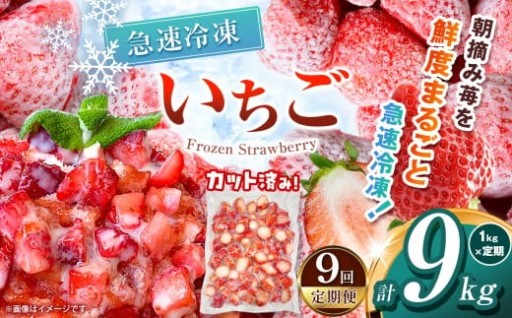 【栃木県共通返礼品】【定期便9回】冷凍いちご 1kg