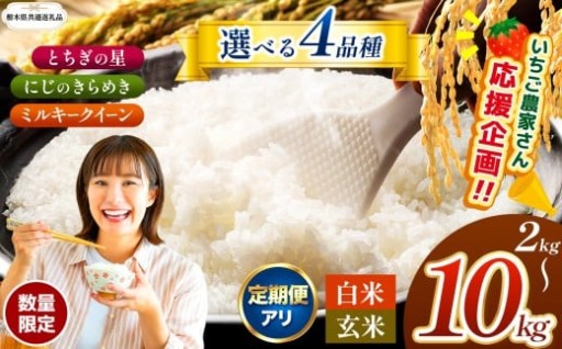 【栃木県共通返礼品】 こしひかり コシヒカリ とちぎの星 にじのきらめき ミルキークイーン