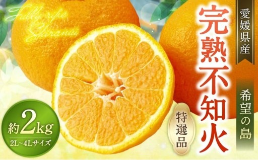 【希望の島】 完熟不知火 特選品 大玉 2kg