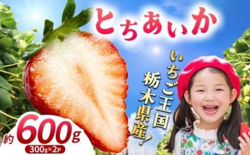 【期間限定】那珂川町産とちあいか 300g×2