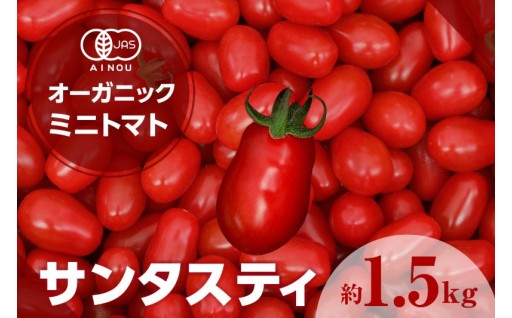 🍅オーガニックミニトマト（サンタスティ）約1.5kg🍅