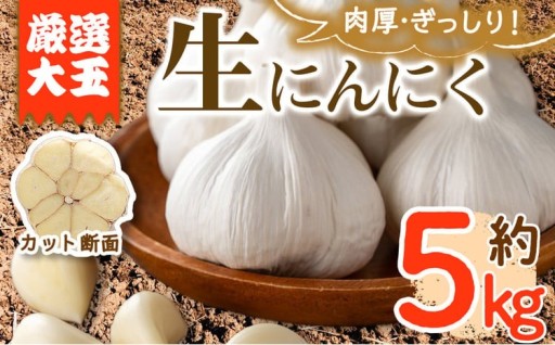＜先行予約！2026年5月上旬以降順次発送予定＞香川県産 厳選大玉生にんにく(約5kg)
