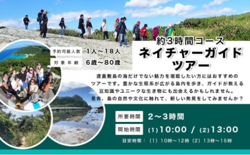 自然体験 ネイチャーガイドツアー（ハイキング）渡嘉敷島・約3時間コース
